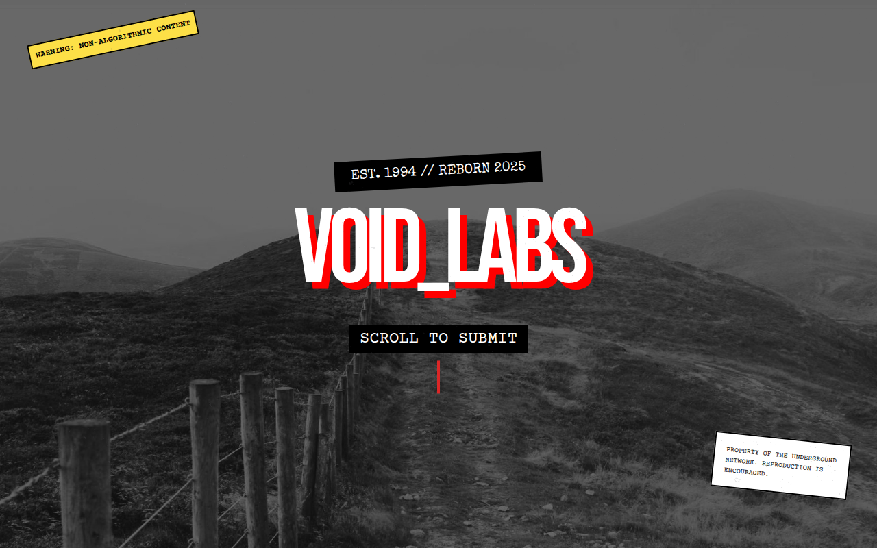 Void Labs  Subversive Creative Agency